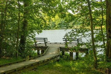 wooden bench in the park overlooking lake