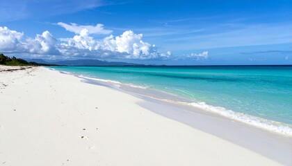 Fototapeta premium Serene Tropical Beach with White Sand and Clear Blue Water