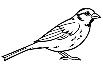 Fototapeta premium Line Art Depiction of Small Bird with Detailed Feather and Beak Outline