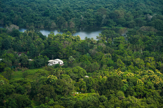 Scenic view from Pidurangala Rock near Dambulla and Sigiriya Rock in Sri Lanka, Asia