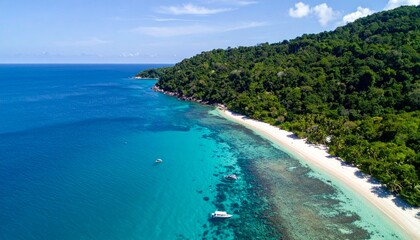 Serene Tropical Beach with Crystal Clear Water and Lush Greenery