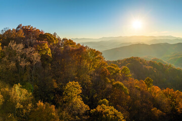 Colorful mountain forest with yellow canopies in autumn at sunset. Landscape of wild woods nature...