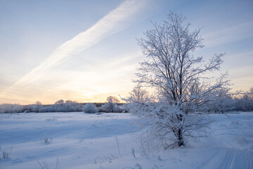 winter landscape in the morning