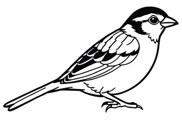 Simple Black and White Illustration of a Sparrow with Detailed Wing Feathers