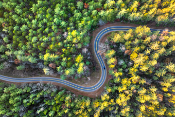 Golden autumn landscape in Appalachian mountains of North Carolina. Forest road winds through hills with vibrant fall foliage