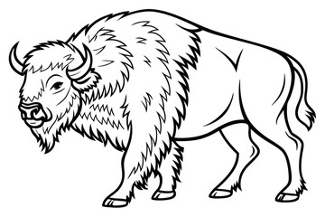 coloring page line art the buffalo black vector