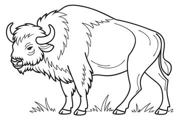 coloring page line art the buffalo black vector