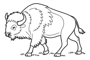 coloring page line art the buffalo black vector