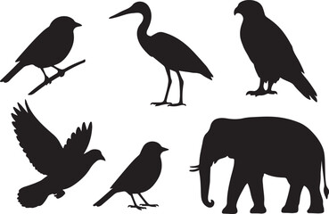 Obraz premium Bird and Elephant Silhouettes: Black and White Vector Illustration