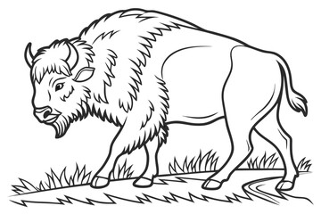 coloring page line art the bison black vector © mst
