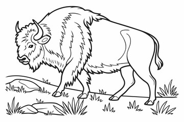 coloring page line art the bison black vector