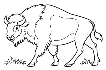 coloring page line art the bison black vector