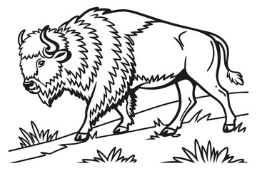 coloring page line art the bison black vector