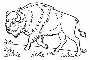 coloring page line art the bison black vector