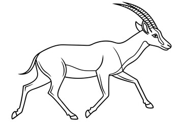 coloring page line art the antelope black vector
