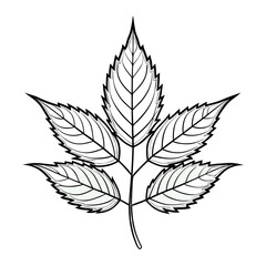 neem leaves outline vector