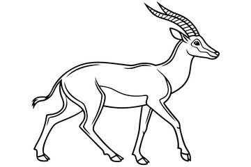 coloring page line art the antelope black vector
