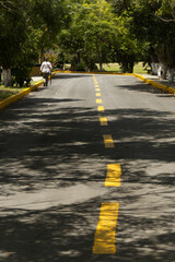 pedestrian crossing on the street
