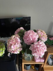 Beautiful pink Hydrangea macrophylla in bouquets stands in a vase in the apartment