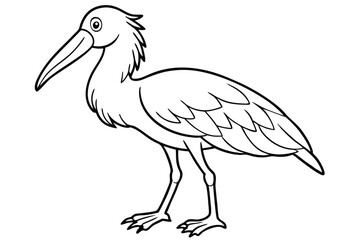 Simple Line Drawing of an Ibis Bird with Long Beak and Detailed Feathers
