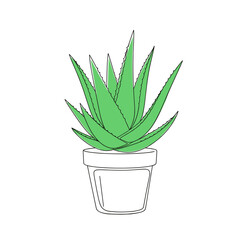 Aloe vera plant in white pot with minimalistic design  