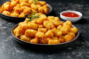Homemade Baked Fried Tater tots Potatoes with Ketchup