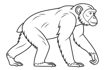 coloring page line art the chimpanzee black vector