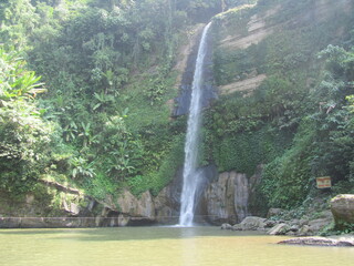 waterfall in the forest