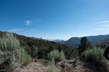 Landscape Nature California USA
