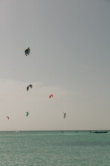 Colorful kitesurfers soaring above tranquil waters during sunset in a serene beach location