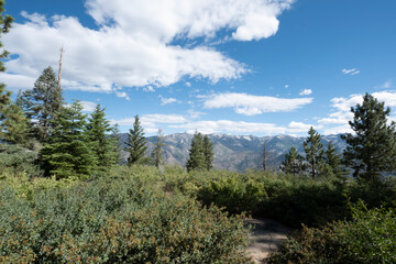 Landscape Nature California USA