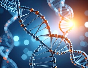 DNA double helix in 3D (1)