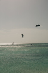 Kite surfers glide over tranquil waters on a sunny day by the beach