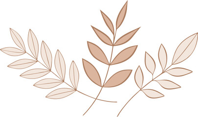 Elegant Botanical Arrangement: Delicate, hand-drawn botanical illustration, showcasing graceful leaves and branches in a serene and natural composition, perfect for design assets.