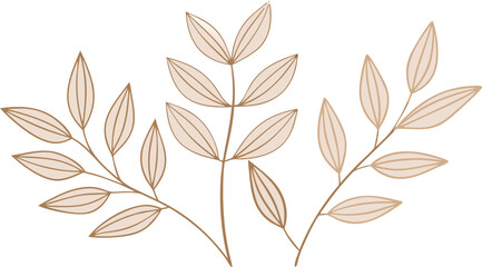 Minimalist Floral Illustration: Delicate branches with slender, textured leaves, evoke a sense of natural beauty and elegance. Perfect for adding a touch of organic charm to designs.