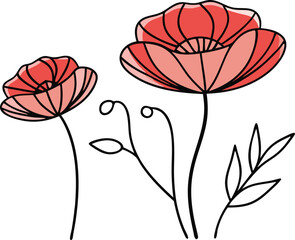 Red Poppies Line Art: Delicate line art illustration featuring two red poppies in full bloom, one larger than the other, accompanied by slender stems and leaves.