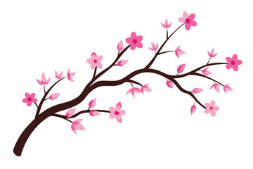 Fototapeta premium Cherry Blossom Tree Branches on White Background