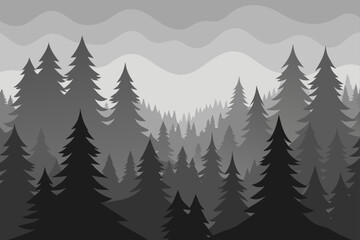 Foggy Pine Forest in Monochrome