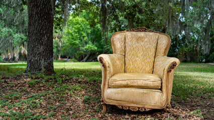 Out of place: a golden chair rests beneath the trees