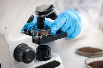 Scientist examining soil sample under microscope in laboratory, closeup