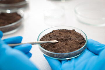 Scientist taking soil sample for research at table in laboratory, closeup