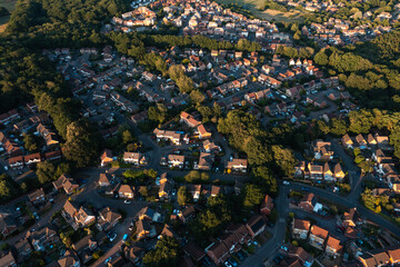 Suburban sprawl expanding into wooded areas during golden hour
