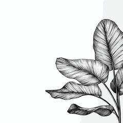 Black and white botanical illustration of tropical leaves