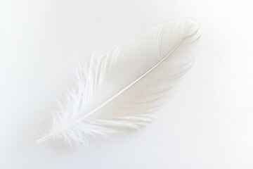 Delicate white feather gently resting on a textured white surface