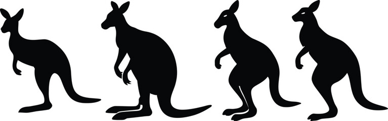 Kangaroo Silhouette Collection Black Color Vector Concept Illustration set.  Set of kangaroo, different poses, black color, isolated on white background