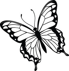 Highly detailed line art of a butterfly with open wings, designed in black and white for tattoo, coloring book, and decorative use, Detailed Butterfly Outline Vector in Black and White

