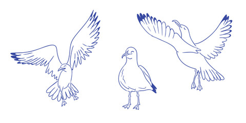 Set of hand drawn seagulls in different poses, flying and standing, with minimal blue line art style. Concept of freedom, coastal life, and light natural elegance.