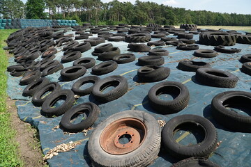 Many old tires used to stabilize a silage with concentrated feed for the cattle in a field near...