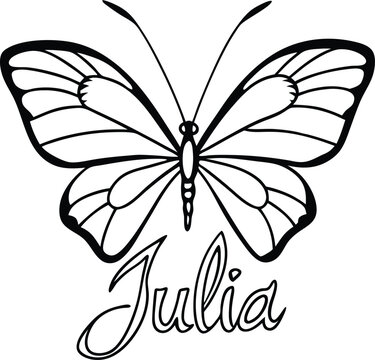 line art butterfly with julia name text in cursive script isolated on white background, julia butterfly outline vector, name butterfly line art, butterfly sketch with text

