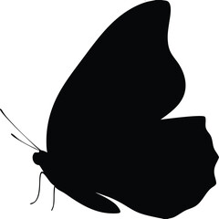 side view butterfly silhouette vector of resting insect in black solid fill, butterfly side view silhouette, insect resting side vector, black butterfly clipart

